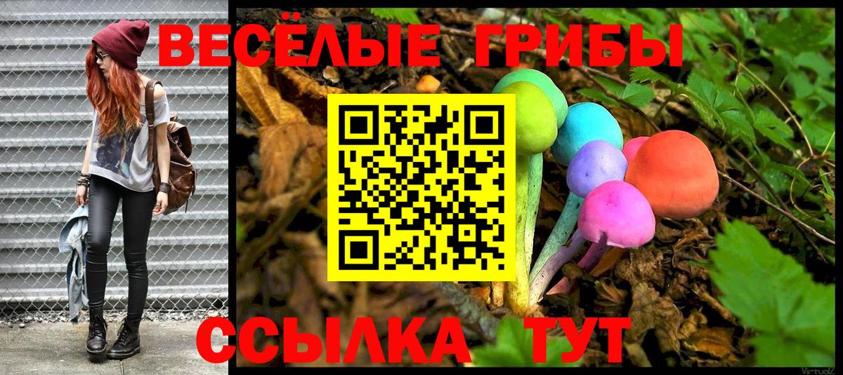 Галлюциногенные грибы Psilocybine cubensis Курганинск
