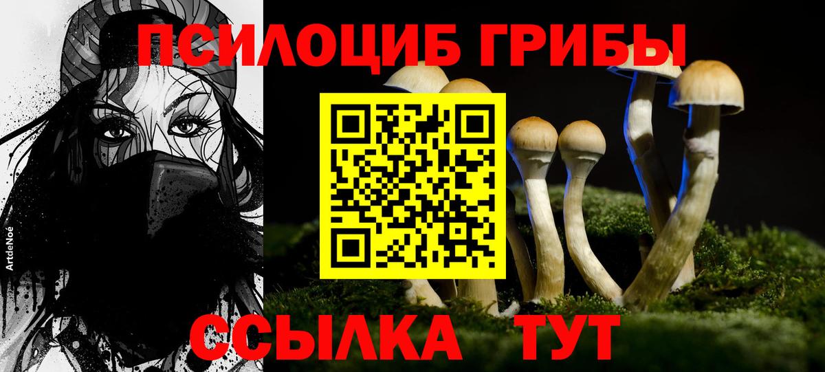 Курганинск  Псилоцибиновые грибы мицелий  Псилоцибиновые грибы GOLDEN TEACHER  Вход с VPN 